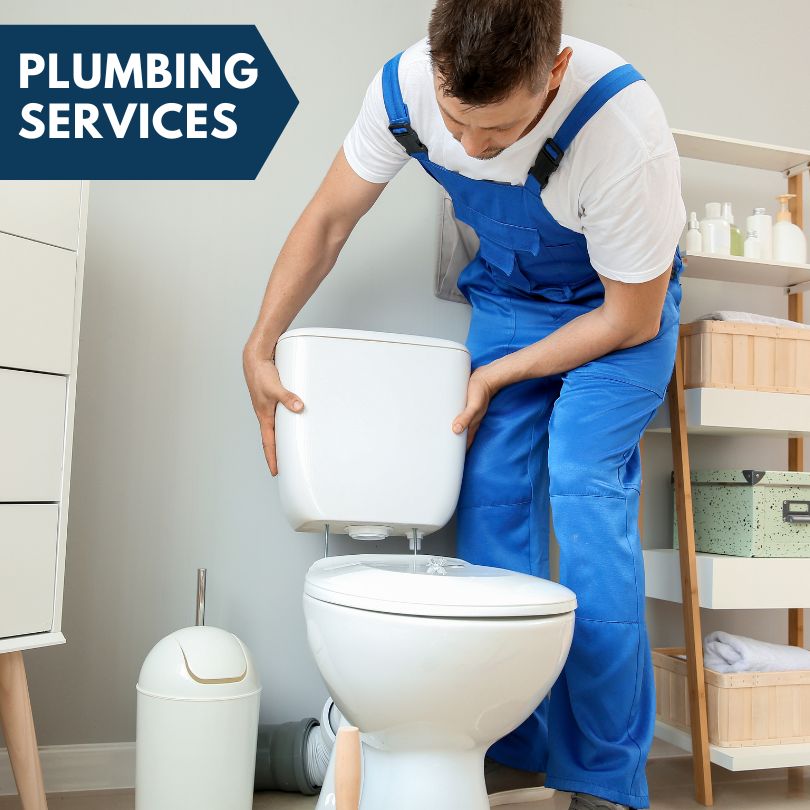 Plumbing Company in Owaneco, IL